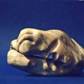 Caverna (lateral view)