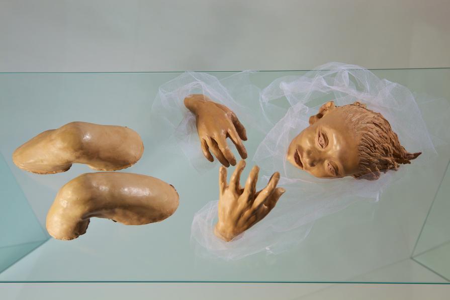 DEDICATO A PIPPA BACCA: LE SPOSE CONFUSE DEDICATO A PIPPA BACCA: LE SPOSE CONFUSE