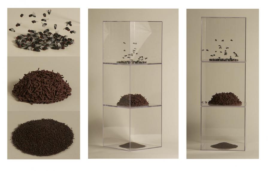 Birth Entrapment Freedom