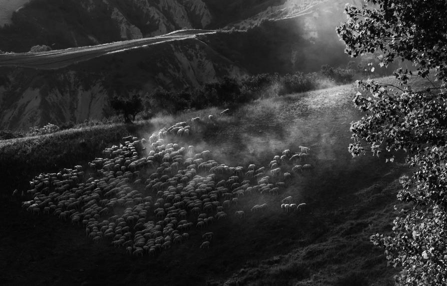 Terre aride (Abruzzo)