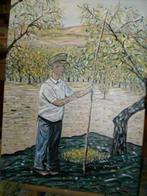 La raccolta delle mandorle