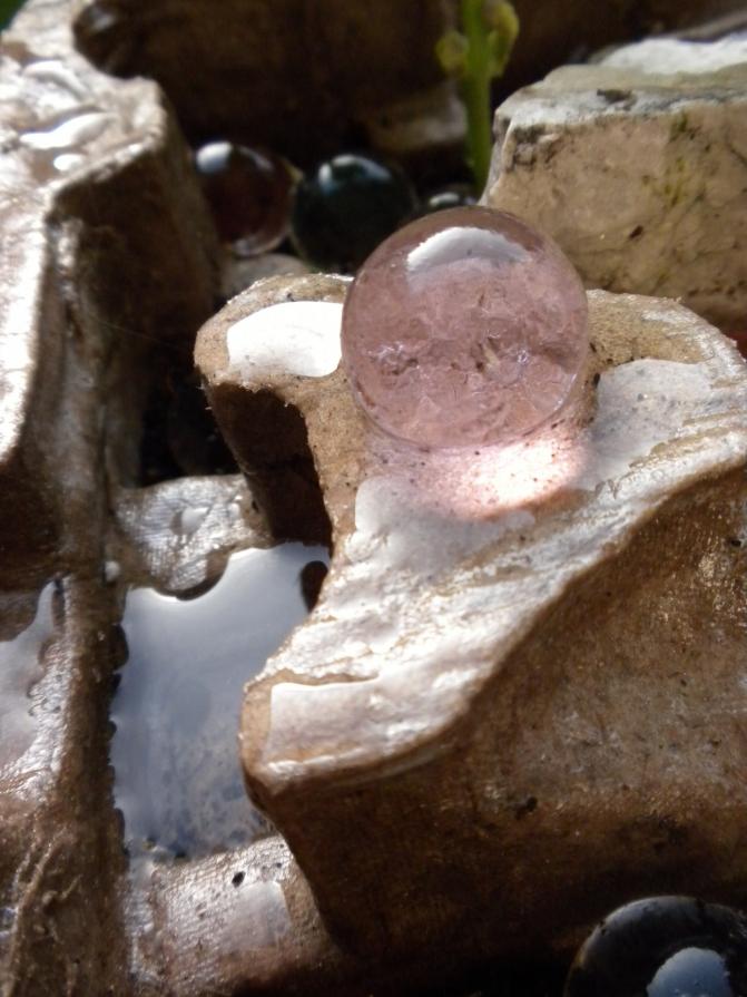 Dalla raccolta alla semina: omaggio a Leonardo Da Vinci - 8