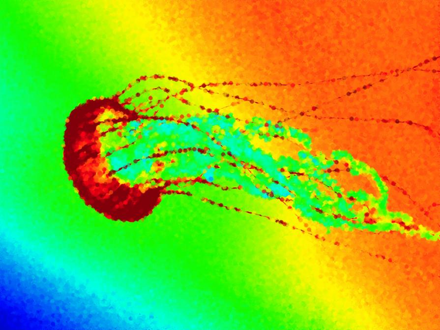 ...L'ESSERE AMICI !!!...