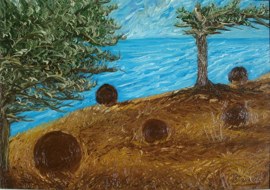 Patrizia Testoni - Volo di gabbiano celato  