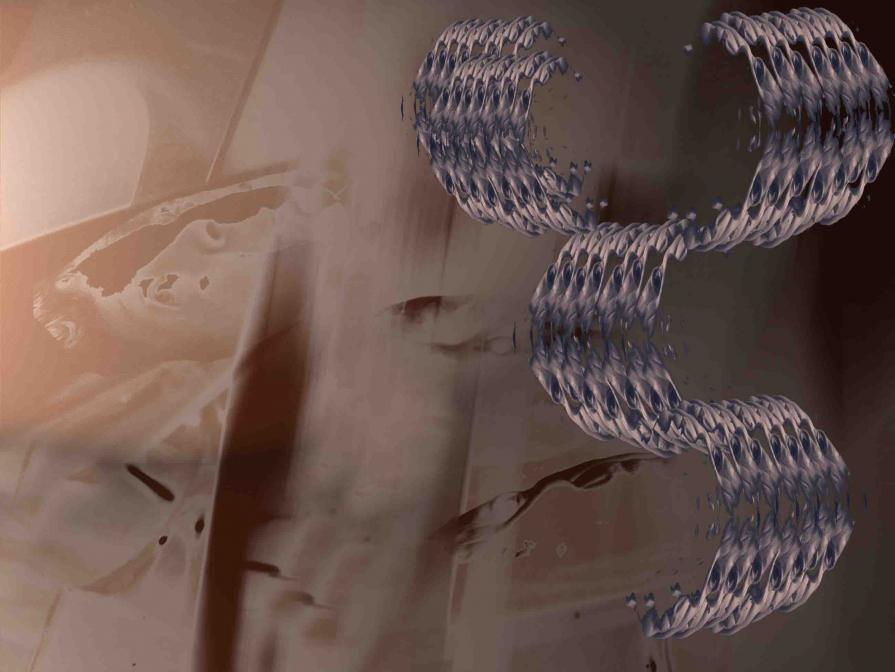 Arm joint of gold  17000$