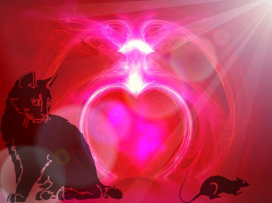 ...NON PIANGERE PERCHÈ QUALCOSA FINISCE SORRIDI PERCHÉ È ACCADUTA...!!!