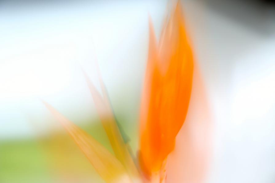 To skim over the air