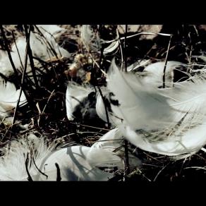 Brêgeman - Bridgemaster