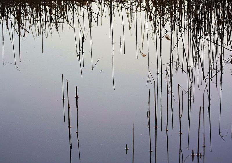 Composizione per calamaio