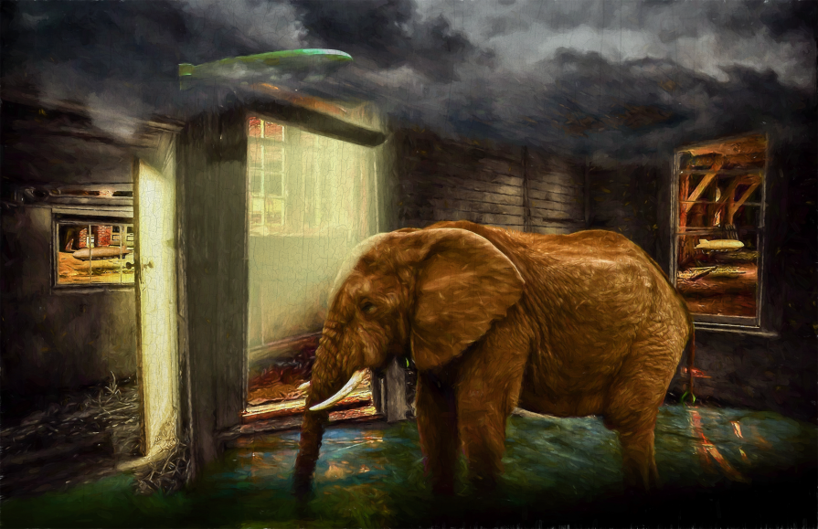 I new he was dreaming