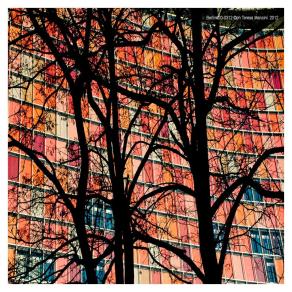 Berlin#20-0312 - Albero in controluce Berlin#20-0312 - Albero in controluce