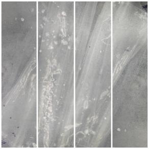 Monogatari-19 Monogatari-19