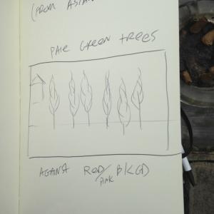 primary sketches primary sketches