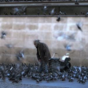 The Birdman 4 The Birdman 4