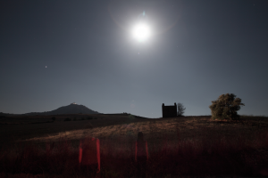 Sara D'Uva - There will be ghosts 