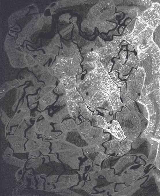 Trump on 2 camels - weapons as toys