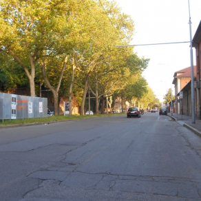 L’Arte C’è. Usa il Senso Buono e Votati!_2