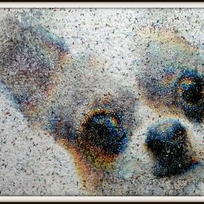 Pallino (n.470) - "I need pampering" series