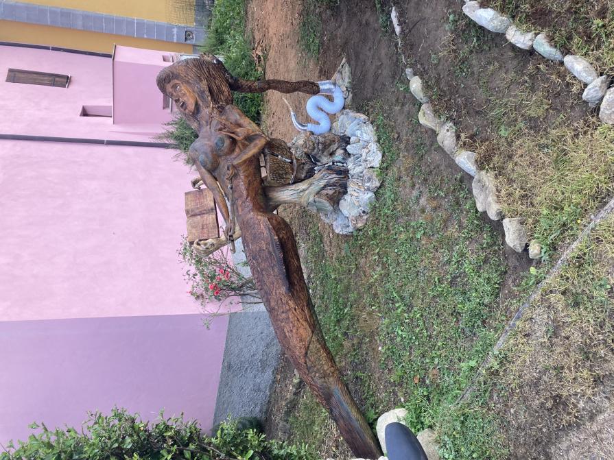 La sirena dei boschi