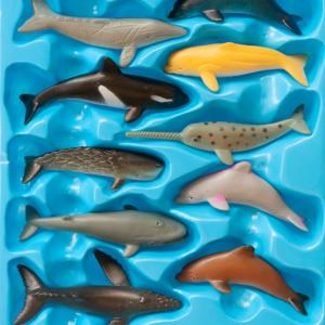 Quando il nonno pescava // PetriPaselli