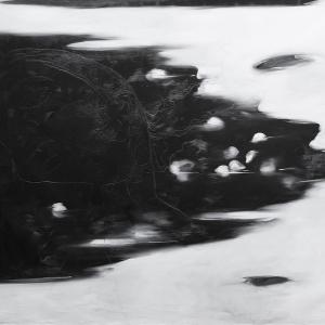 DIPINTA. La metis dell’acqua - Omar Galliani DIPINTA. La metis dell’acqua - Omar Galliani