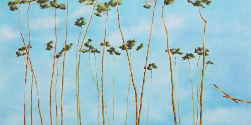 "Six": rassegna di pittura alla Fondazione Giuseppe Lazzareschi di Porcari "Six": rassegna di pittura alla Fondazione Giuseppe Lazzareschi di Porcari