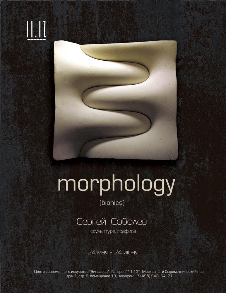 morphology