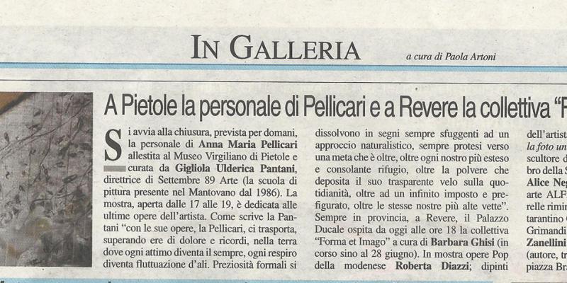 FORMA ET IMAGO al PALAZZO DUCALE DI REVERE (MN) 6-28 GIUGNO 2015