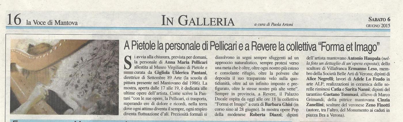 FORMA ET IMAGO al PALAZZO DUCALE DI REVERE (MN) 6-28 GIUGNO 2015