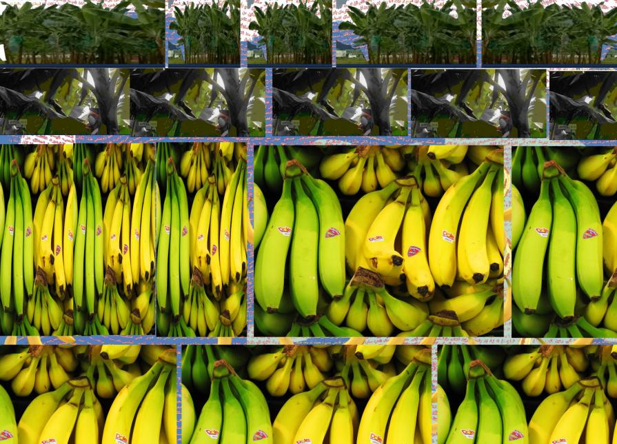 Origin banan box equador Origin banan box equador