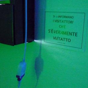 VIOLETTO NEL PENSIERO-Elsa Lumière & Cybermotors