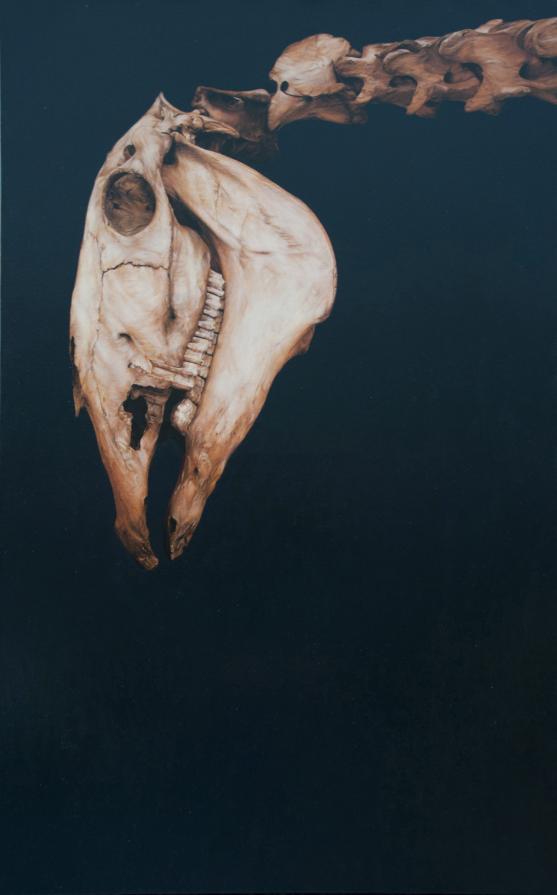 The Night Mare The Night Mare