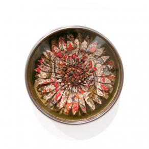 Vajassa Arricchita (Asteraceae Lucrosa)