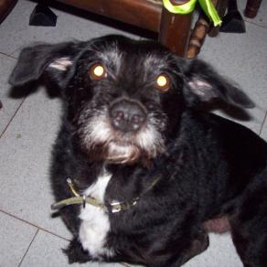 L'adorabile "SCARPETTA"