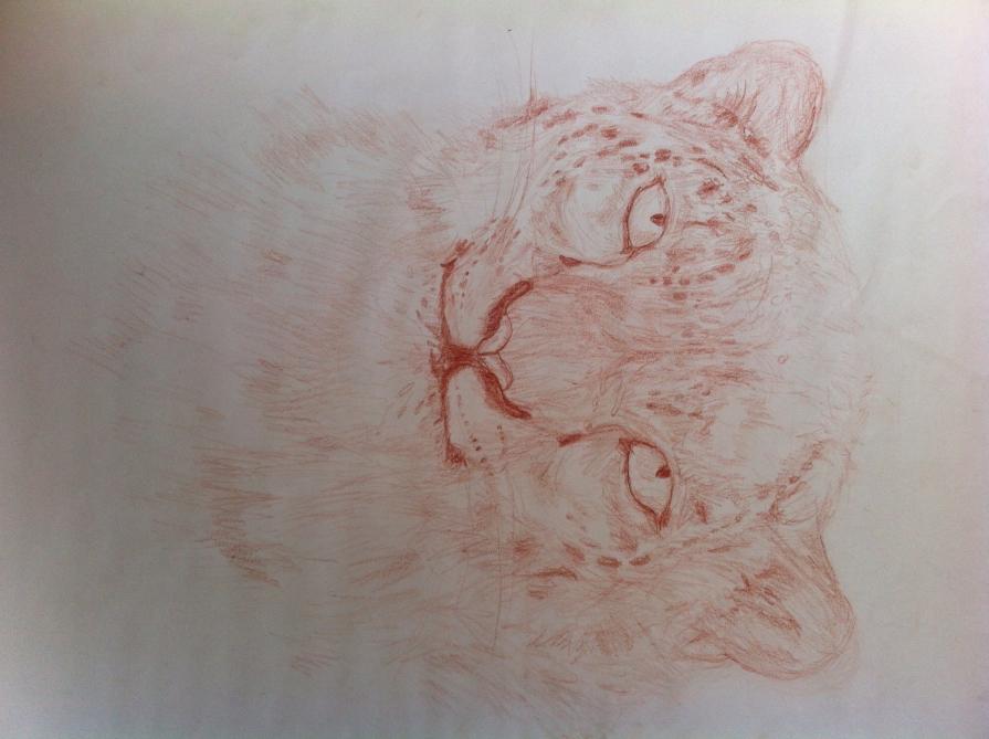 L'eleganza del felino