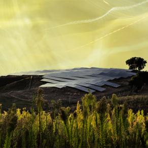 paesaggi marchigiani 