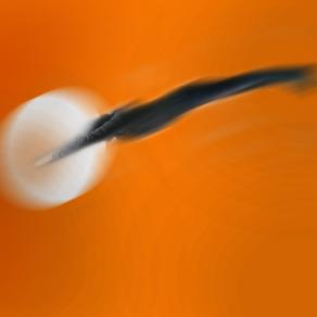 adoro l'arancione , entra con me  nel buco di luce.. Aldo...