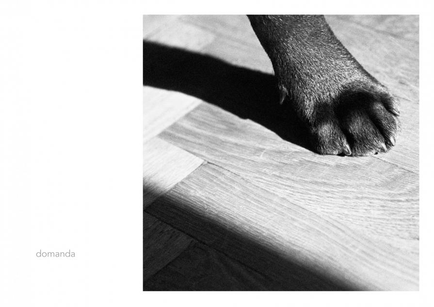 Abbecedario - Domanda