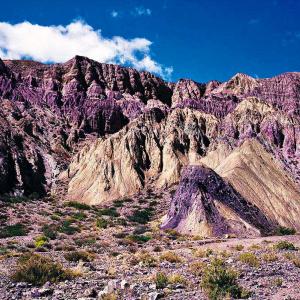 A Plastic Tool A Plastic Tool