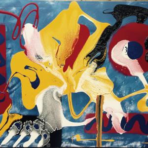 VOGLIO VIVERE A COLORI