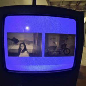 Träume sind Schäume (I'm sorry) Träume sind Schäume (I'm sorry)