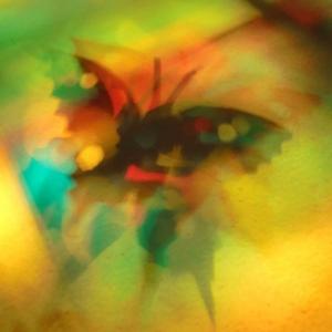 I colori della biodiversità -2017