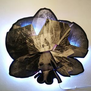 orchiDEADs 2018 orchiDEADs 2018