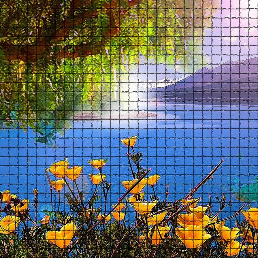 Ogni fiore che sboccia ci ricorda che il mondo non è ancora stanco dei colori...!!!