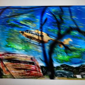 Vola la farfalla impazzita. 