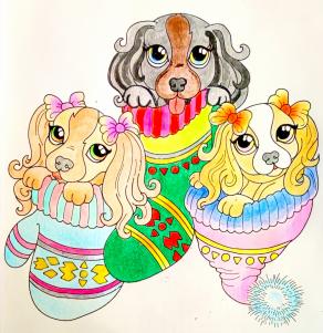 Magie di Gennaio...!!!