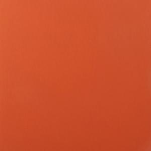 Sonia Costantini. Absolute Color