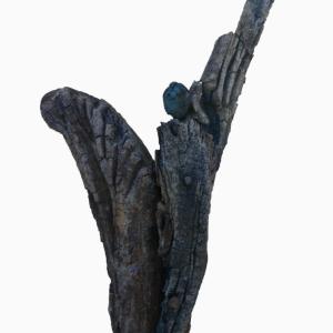 Corrado Askerz, Angeli