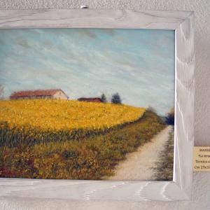 Altra Natura a Revere (mn)