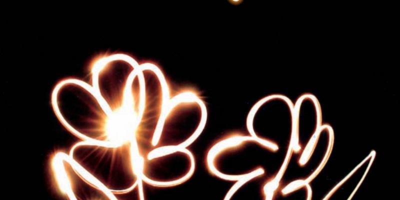 Elettro MAD Federica Casalati Elettro MAD Federica Casalati